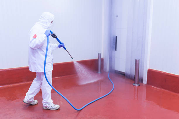 Best Rust Removal  in Mansfield, AR